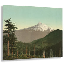 Load image into Gallery viewer, Digitally Restored and Enhanced 1898 Mt. Hood Print - Oregon Cascade Range Volcanic Summit - Evergreen Forest Mazamas Era - Archival Print
