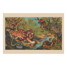 Load image into Gallery viewer, Digitally Restored and Enhanced 1870 Jungle Serpent Print - Circus Poster Tropical Snake - Gilded Age Victorian Cincinnati - Archival Print
