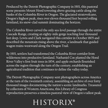Load image into Gallery viewer, Digitally Restored and Enhanced 1901 Mt. Hood Poster Print - Columbia River Oregon Pastoral Valley - Grazing Cattle Hood River - Archival Print
