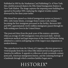 Load image into Gallery viewer, 1910 Ellis Island Print - New York Harbor Immigration Station - Gateway to America Family History - Archival Print
