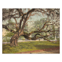 Load image into Gallery viewer, Digitally Restored and Enhanced 1900 Magnolia Cemetery Print - Charleston Live Oak Spanish Moss - South Carolina Southern Heritage - Archival Print
