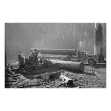 Load image into Gallery viewer, Digitally Restored and Enhanced 1941 Tillamook Oregon Logging Print - Pacific Northwest Timber Industry FSA - Coast Range Forestry - Archival Print
