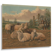 Cargar imagen en el visor de la galería, Digitally Restored and Enhanced 1902 Sheepdogs and Sheep Pastoral Art Print - Victorian Farm Animal Scene - Country Farmhouse Decor - Museum-Quality Print
