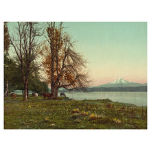 Cargar imagen en el visor de la galería, Digitally Restored and Enhanced 1901 Mt. Hood Print - Columbia River Oregon Pastoral - Cascade Range Farmland Oregon Trail - Archival Print
