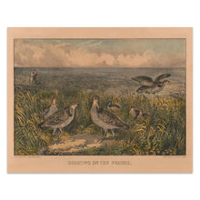 Load image into Gallery viewer, Digitally Restored and Enhanced 1856 Shooting on the Prairie Print - Currier Ives Prairie Chicken Wildlife Bird Art - Frontier West - Archival Print
