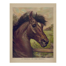Cargar imagen en el visor de la galería, Digitally Restored and Enhanced 1893 A Prince of the Blood Print - Currier Ives Thoroughbred Horse Racing Gilded Age - Saratoga Era - Archival Print
