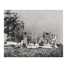 Load image into Gallery viewer, Digitally Restored and Enhanced 1914 Dressed Kittens Picnic Print - Antique Cat Photography Whimsical Animal Art - Novelty Portrait - Archival Print
