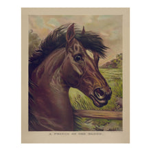 Cargar imagen en el visor de la galería, Digitally Restored and Enhanced 1893 A Prince of the Blood Print - Currier Ives Thoroughbred Horse Racing Gilded Age - Saratoga Era - Archival Print
