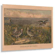 Load image into Gallery viewer, Digitally Restored and Enhanced 1856 Shooting on the Prairie Print - Currier Ives Prairie Chicken Wildlife Bird Art - Frontier West - Archival Print
