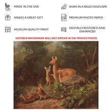 Cargar imagen en el visor de la galería, Digitally Restored and Enhanced 1868 Deer and Grouse Woodland Wildlife Print - Victorian Nature Scene - Rustic Cabin and Den Decor - Museum-Quality Print
