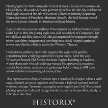 Cargar imagen en el visor de la galería, Digitally Restored and Enhanced 1876 Old Abe War Eagle Wisconsin Print - Civil War Mascot 8th Infantry Regiment - Centennial Exposition - Archival Print
