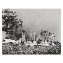 Load image into Gallery viewer, Digitally Restored and Enhanced 1914 Dressed Kittens Picnic Print - Antique Cat Photography Whimsical Animal Art - Novelty Portrait - Archival Print
