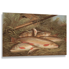 Load image into Gallery viewer, Digitally Restored and Enhanced 1868 Brook Trout Print - Currier Ives Fishing Angling Wildlife Natural History Sporting - Gilded Age - Archival Print
