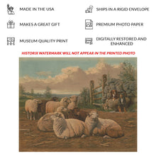 Cargar imagen en el visor de la galería, Digitally Restored and Enhanced 1902 Sheepdogs and Sheep Pastoral Art Print - Victorian Farm Animal Scene - Country Farmhouse Decor - Museum-Quality Print
