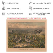 Load image into Gallery viewer, Digitally Restored and Enhanced 1856 Shooting on the Prairie Print - Currier Ives Prairie Chicken Wildlife Bird Art - Frontier West - Archival Print
