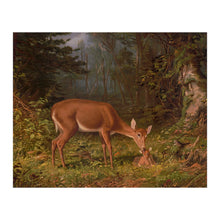 Cargar imagen en el visor de la galería, Digitally Restored and Enhanced 1870 Deer Doe and Fawn Art Print - Victorian Woodland Wildlife - Whitetail Nursery and Bedroom Decor - Museum-Quality Print
