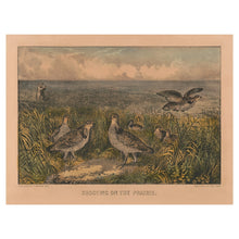 Load image into Gallery viewer, Digitally Restored and Enhanced 1856 Shooting on the Prairie Print - Currier Ives Prairie Chicken Wildlife Bird Art - Frontier West - Archival Print
