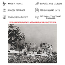 Load image into Gallery viewer, Digitally Restored and Enhanced 1914 Dressed Kittens Picnic Print - Antique Cat Photography Whimsical Animal Art - Novelty Portrait - Archival Print
