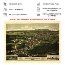 Cargar imagen en el visor de la galería, Digitally Restored and Enhanced 1888 Birds Eye View Bridgton Maine Print - Burleigh Lakes Region White Mountains Resort - Victorian Era - Archival Print
