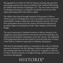 Load image into Gallery viewer, Digitally Restored and Enhanced 1995 Million Man March Print - Washington DC National Mall Aerial African American History - Civic Gathering - Archival Print
