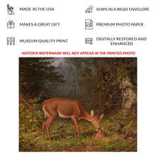 Cargar imagen en el visor de la galería, Digitally Restored and Enhanced 1870 Deer Doe and Fawn Art Print - Victorian Woodland Wildlife - Whitetail Nursery and Bedroom Decor - Museum-Quality Print

