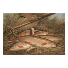 Load image into Gallery viewer, Digitally Restored and Enhanced 1868 Brook Trout Print - Currier Ives Fishing Angling Wildlife Natural History Sporting - Gilded Age - Archival Print
