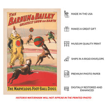 Load image into Gallery viewer, Digitally Restored and Enhanced 1900 Barnum &amp; Bailey Circus Poster - Marvelous Football Dogs Trained Act - Victorian Sports - Archival Print
