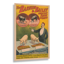 Load image into Gallery viewer, Digitally Restored and Enhanced 1898 Barnum &amp; Bailey Circus Poster - Trained Pigs Playing Xylophones - Victorian Animal Act - Archival Print
