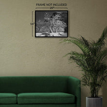 Cargar imagen en el visor de la galería,  Digitally Restored and Enhanced 1933 Ansel Adams Half Dome Yosemite Photograph - Apple Orchard Snow - National Park Art - Archival Print
