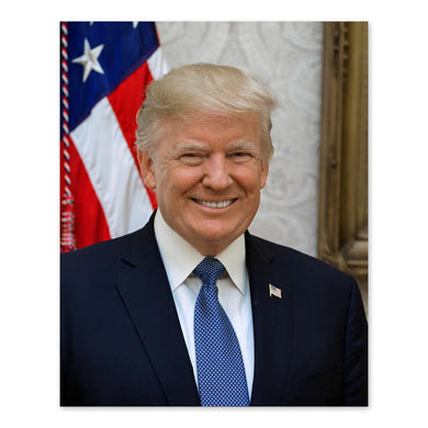 Digitally Restored and Enhanced Donald Trump 45th President of the United States Official Portrait Photo Print Poster