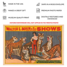 Load image into Gallery viewer, Digitally Restored and Enhanced 1900 Walter L Main Circus Poster - Female Tiger Trainer Wild Animal Show - Gilded Age Entertainment - Archival Print
