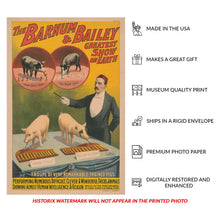 Load image into Gallery viewer, Digitally Restored and Enhanced 1898 Barnum &amp; Bailey Circus Poster - Trained Pigs Playing Xylophones - Victorian Animal Act - Archival Print
