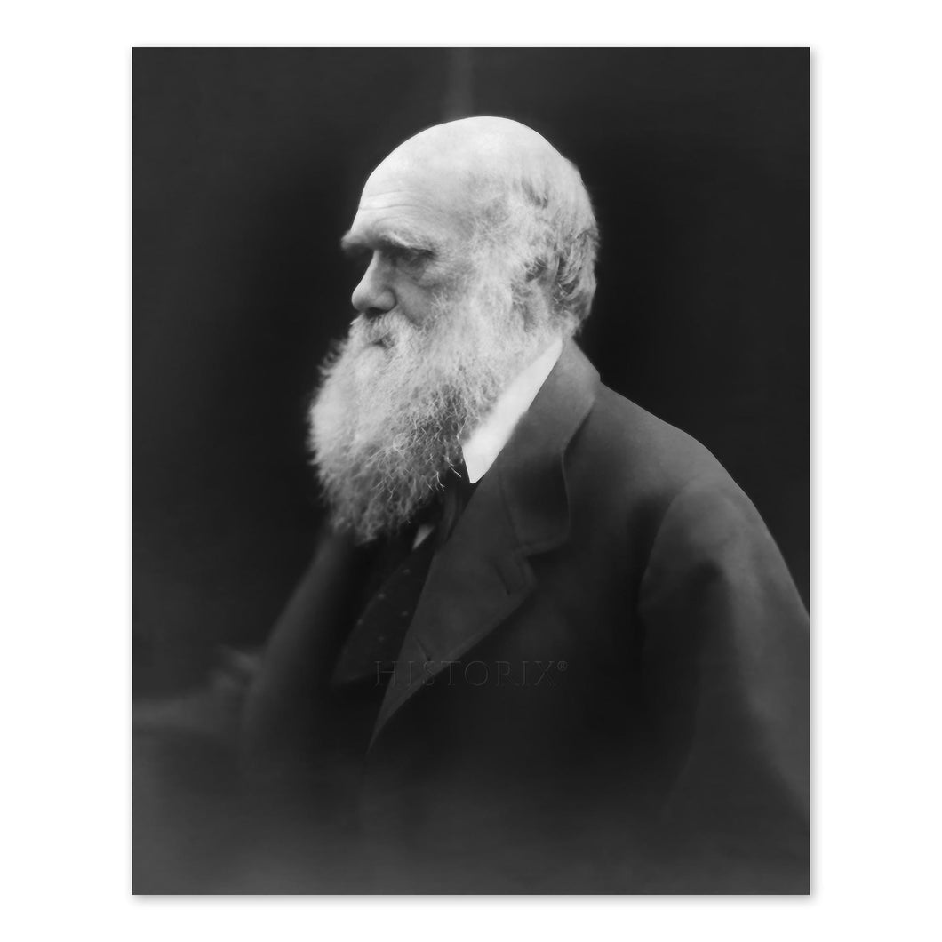 Digitally Restored and Enhanced 1870 Charles Darwin Photo Print - Vintage Photo of Theory of Evolution by Natural Selection Author Charles Darwin Poster