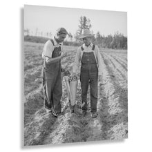 Cargar imagen en el visor de la galería, 1940 Tobacco Planter Photo Print - Vintage Photo of Two Farmers Using Tobacco Mechanical Planter in North Carolina Wall Art
