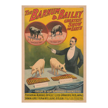 Load image into Gallery viewer, Digitally Restored and Enhanced 1898 Barnum &amp; Bailey Circus Poster - Trained Pigs Playing Xylophones - Victorian Animal Act - Archival Print
