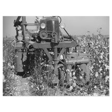 Load image into Gallery viewer, Digitally Restored and Enhanced 1939 Rust Cotton Picker Photo Print - Old Photo of Cotton Picker in Cloverdale Plantation Clarksdale Mississippi Poster
