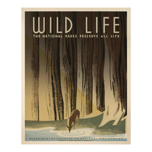 Cargar imagen en el visor de la galería, Digitally Restored and Enhanced 1936 Wild Life National Parks Preserve All Life WPA Federal Art Project Poster - Depression Era Conservation Art - Archival Reproduction
