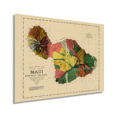 Digitally Restored and Enhanced 1885 Map of Maui Hawaii - Vintage Maui Poster - Historic Maui Wall Art - Restored Vintage Maui Map - Old Maui Hawaii History Map
