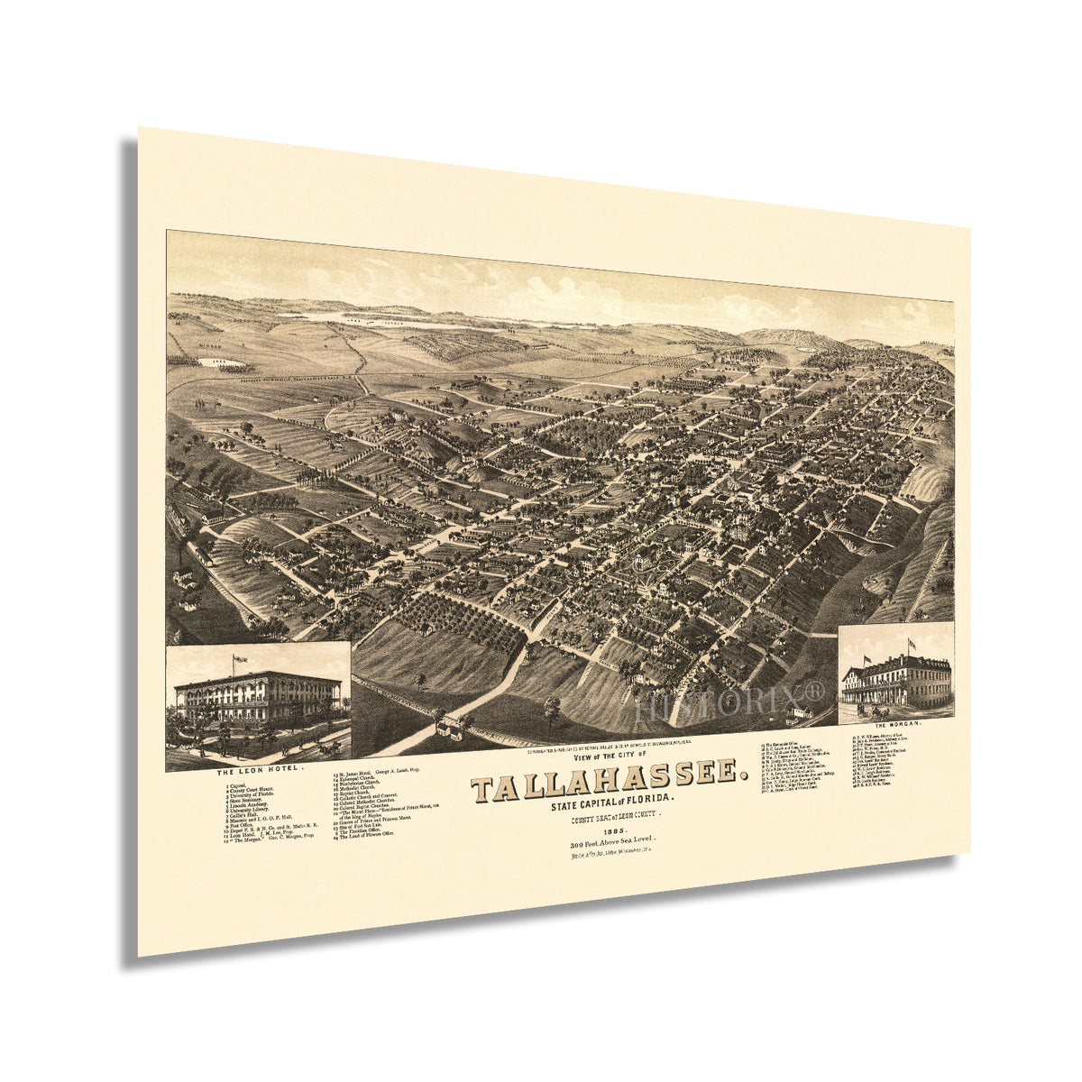 1885 View of Tallahassee Leon County Florida Map Wall Art Print ...