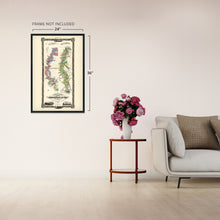 Load image into Gallery viewer, 1858 Lower Mississippi River Map - Vintage Wall Map of Mississippi River - History Map of the Mississippi River - Old Chart of the Lower Mississippi River Wall Art Poster
